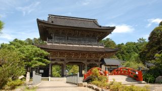 開運 白髪が生えても抜かないで 幸運の毛 福毛 のご利益とは 開運ちゃんねる 運気向上 夢占い パワースポット 開運 白髪が生えても抜かないで 幸運の毛 福毛 のご利益とは 開運ちゃんねる 運気向上 夢占い パワースポット