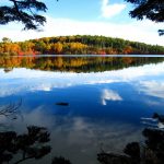 【パワースポット】神秘的な姿に息を呑みます。【長野県,南佐久郡,白駒池】