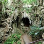 【パワースポット】精霊が宿ると言う自然豊かな神秘の谷【沖縄県,南城市,ガンガラーの谷】