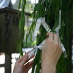 【パワースポット】バレンタインデー前に行っておきたい！恋愛成就の柳！【京都府,京都市,六角堂の柳】