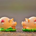 〈金運・子孫繁栄・開運〉古今東西で幸福を招く動物「豚」の開運力